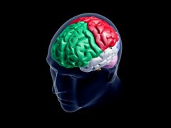 【脑癌】小分子药物在最新研究中成功穿过血脑屏障