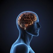 脑癌对人的性情有多大影响？