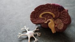 脑胶质瘤是什么？